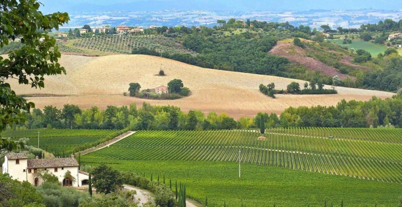 Villa Le Buche Сартеано Екстер'єр фото